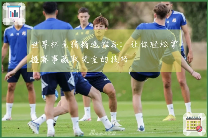 世界杯竞猜精选推荐：让你轻松掌握赛事赢取奖金的技巧