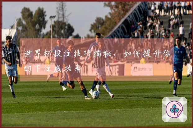 世界杯投注技巧揭秘，如何提升你的下注成功率
