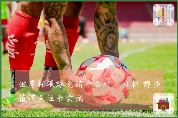 世界杯滚球竞猜平台对比分析 哪些值得关注和尝试