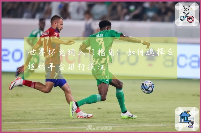 世界杯竞猜入门指南：如何选择合适的平台进行投注
