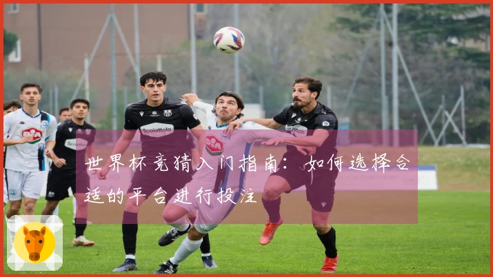 世界杯竞猜入门指南：如何选择合适的平台进行投注