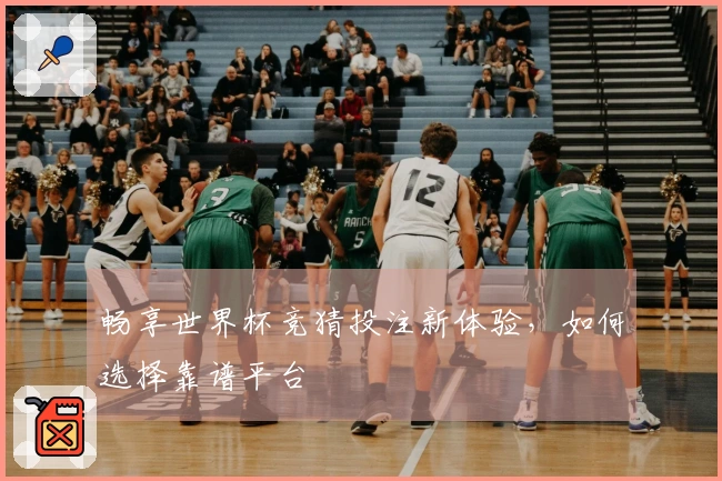 畅享世界杯竞猜投注新体验，如何选择靠谱平台